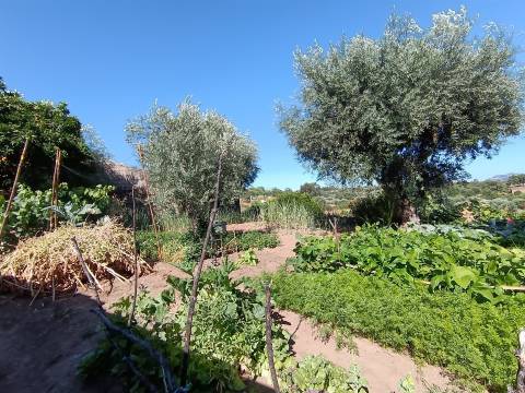 Moradia para restaurar em Bemposta, Penamacor