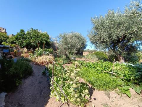 Moradia para restaurar em Bemposta, Penamacor