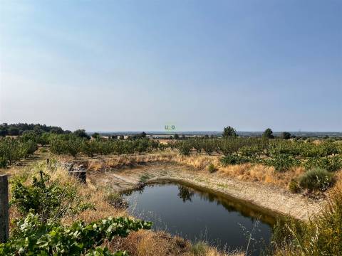 Quinta de Cerejeiras com 3,2 Hectares