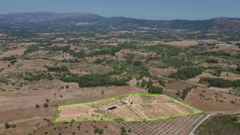 Quinta de Cerejeiras com 3,2 Hectares