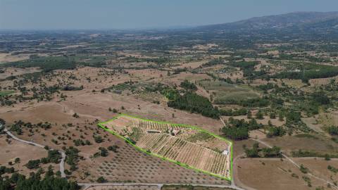 Quinta de Cerejeiras com 3,2 Hectares