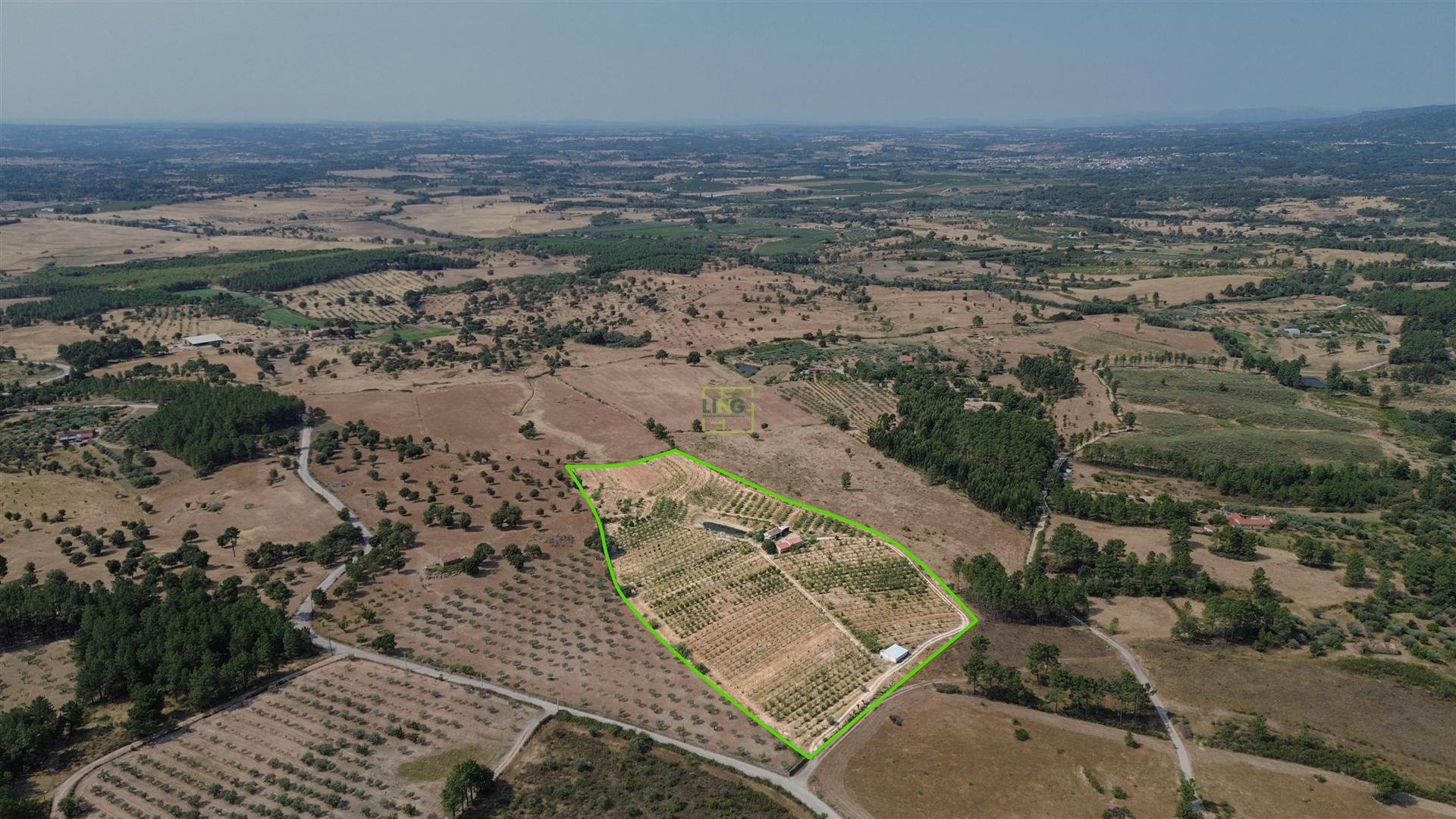 Quinta de Cerejeiras com 3,2 Hectares