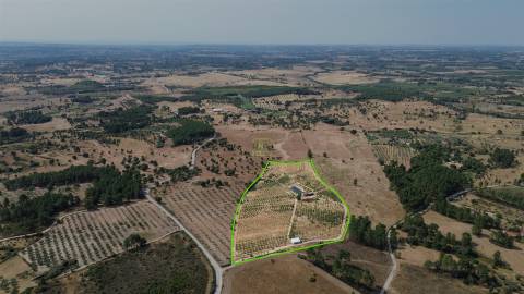 Quinta de Cerejeiras com 3,2 Hectares