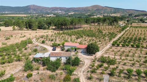 Quinta de Cerejeiras com 3,2 Hectares