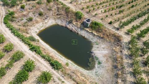 Quinta de Cerejeiras com 3,2 Hectares