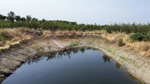 Quinta de Cerejeiras com 3,2 Hectares