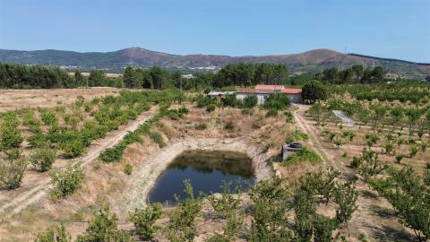 Quinta de Cerejeiras com 3,2 Hectares