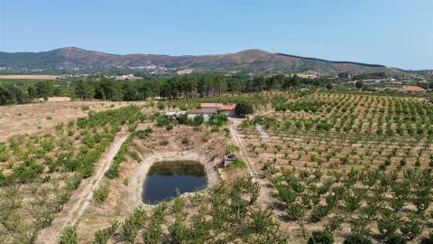Quinta de Cerejeiras com 3,2 Hectares