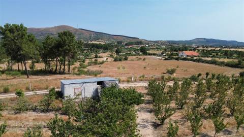Quinta de Cerejeiras com 3,2 Hectares