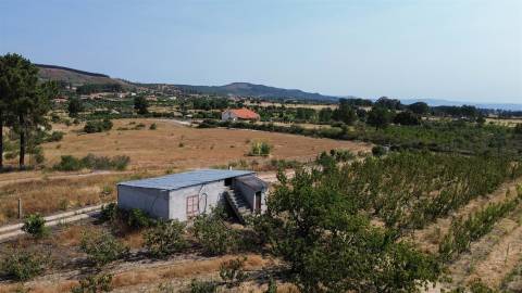 Quinta de Cerejeiras com 3,2 Hectares