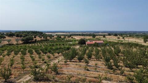 Quinta de Cerejeiras com 3,2 Hectares