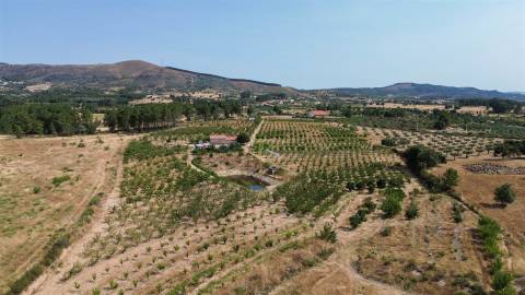 Quinta de Cerejeiras com 3,2 Hectares
