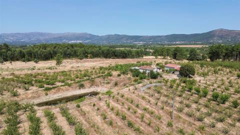 Quinta de Cerejeiras com 3,2 Hectares