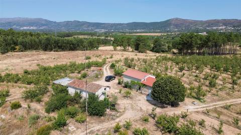 Quinta de Cerejeiras com 3,2 Hectares