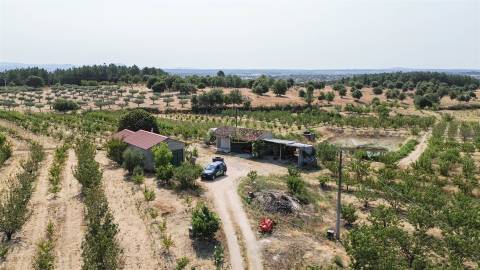 Quinta de Cerejeiras com 3,2 Hectares