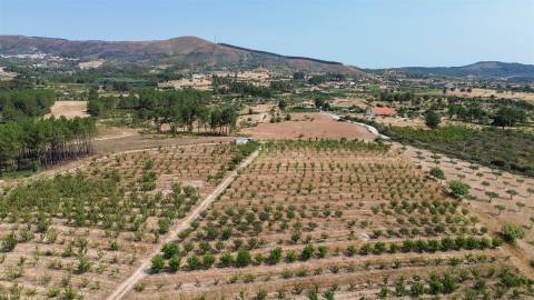 Quinta de Cerejeiras com 3,2 Hectares