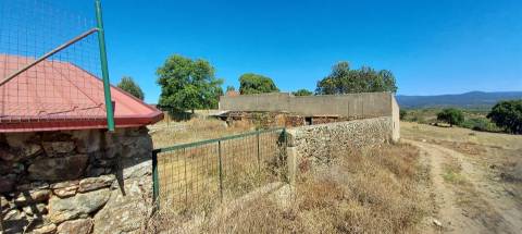 Herdade 180 ha - Penamacor