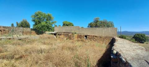 Herdade 180 ha - Penamacor