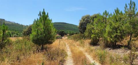 Herdade 180 ha - Penamacor
