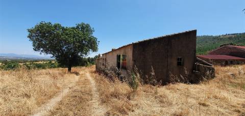 Herdade 180 ha - Penamacor
