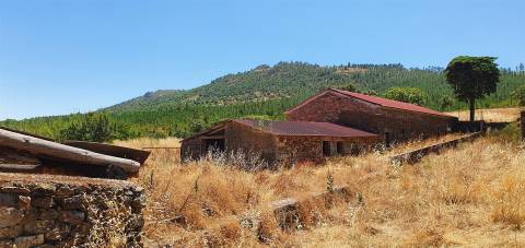 Herdade 180 ha - Penamacor