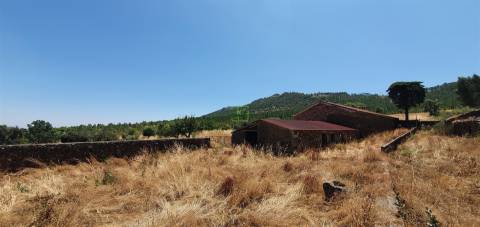 Herdade 180 ha - Penamacor