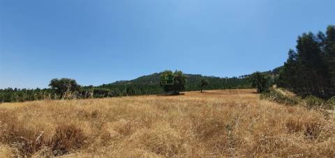 Herdade 180 ha - Penamacor