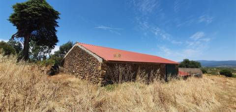 Herdade 180 ha - Penamacor