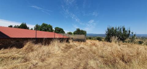 Herdade 180 ha - Penamacor