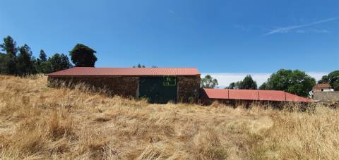 Herdade 180 ha - Penamacor