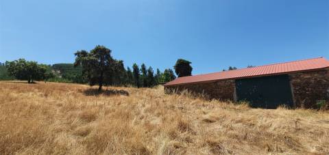 Herdade 180 ha - Penamacor