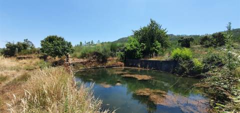 Herdade 180 ha - Penamacor