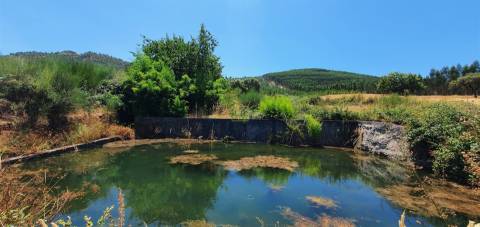 Herdade 180 ha - Penamacor