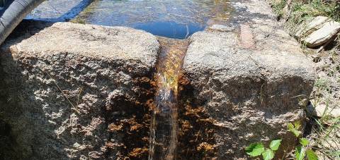 Herdade 180 ha - Penamacor