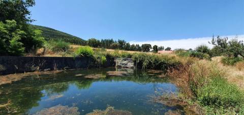 Herdade 180 ha - Penamacor