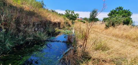 Herdade 180 ha - Penamacor
