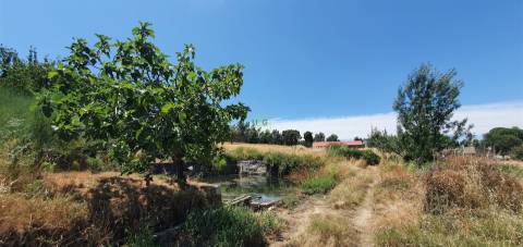 Herdade 180 ha - Penamacor