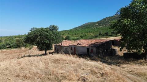 Herdade 180 ha - Penamacor