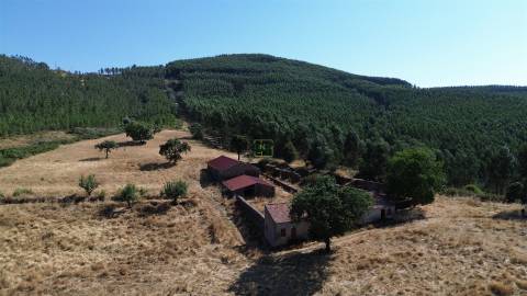 Herdade 180 ha - Penamacor