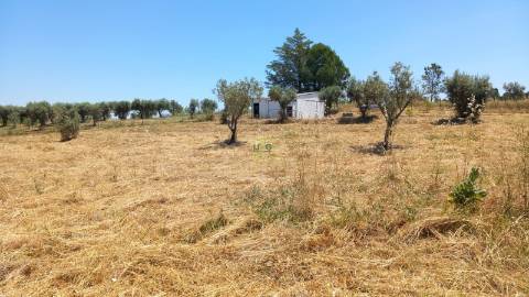 Terreno Rústico  Venda em Ladoeiro,Idanha-a-Nova