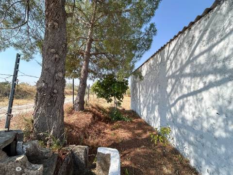 Terreno Rústico  Venda em Ladoeiro,Idanha-a-Nova