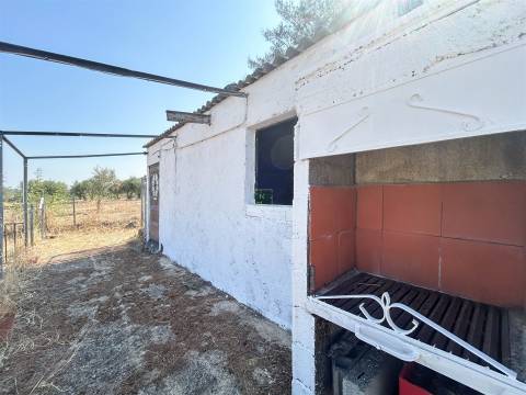 Terreno Rústico  Venda em Ladoeiro,Idanha-a-Nova