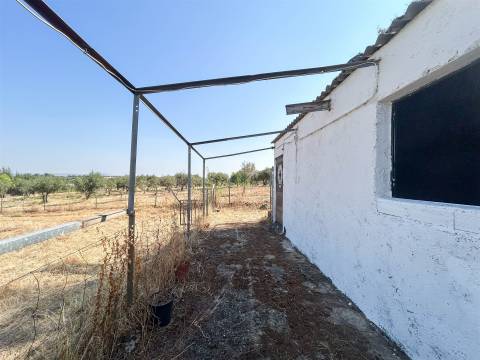 Terreno Rústico  Venda em Ladoeiro,Idanha-a-Nova
