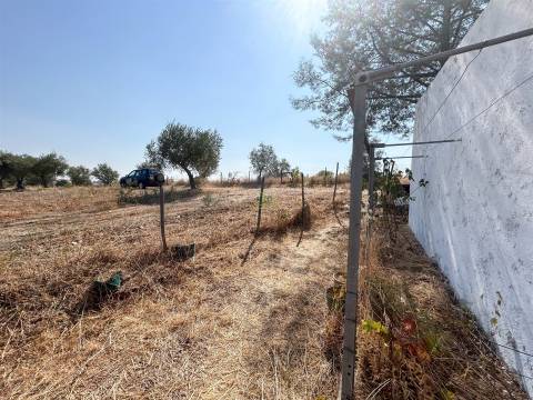 Terreno Rústico  Venda em Ladoeiro,Idanha-a-Nova
