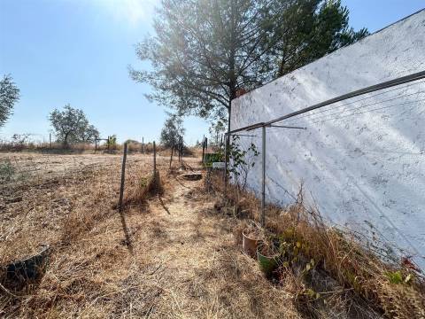 Terreno Rústico  Venda em Ladoeiro,Idanha-a-Nova