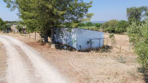 Terreno Rústico  Venda em Ladoeiro,Idanha-a-Nova