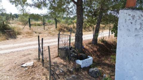 Terreno Rústico  Venda em Ladoeiro,Idanha-a-Nova