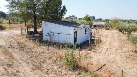 Terreno Rústico  Venda em Ladoeiro,Idanha-a-Nova