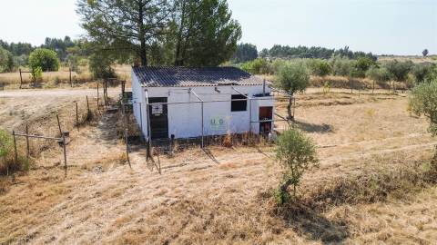 Terreno Rústico  Venda em Ladoeiro,Idanha-a-Nova