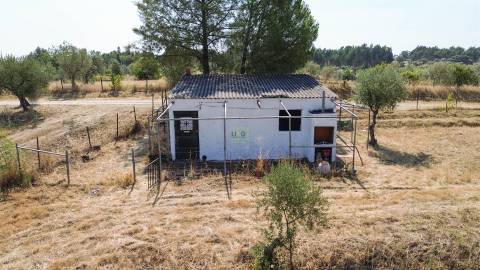 Terreno Rústico  Venda em Ladoeiro,Idanha-a-Nova